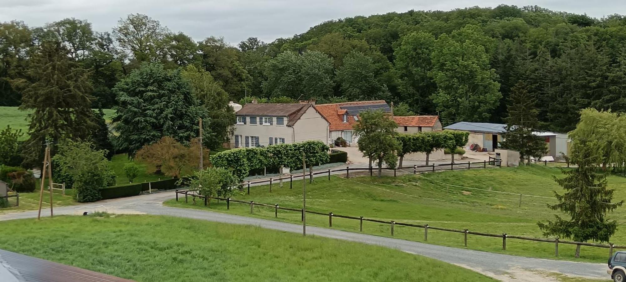 La Ferme Des Bigornes Hotel Châtillon-sur-Indre Eksteriør billede